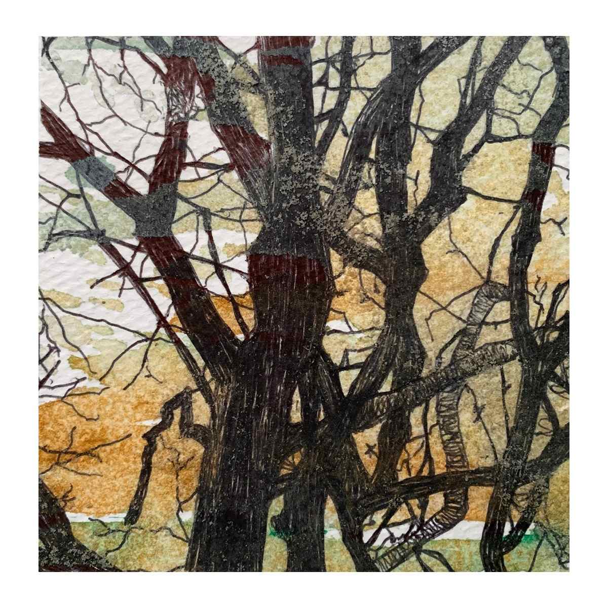 Salty Mists 2 by Gail Hoban, Image 3.