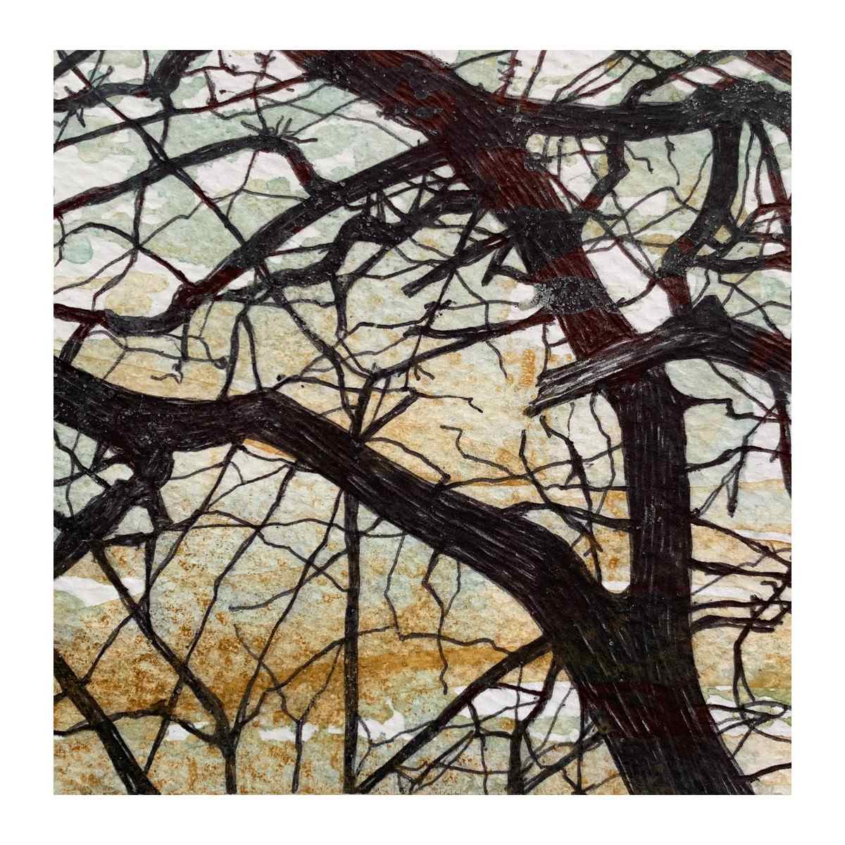Salty Mists 1 by Gail Hoban, Image 2.