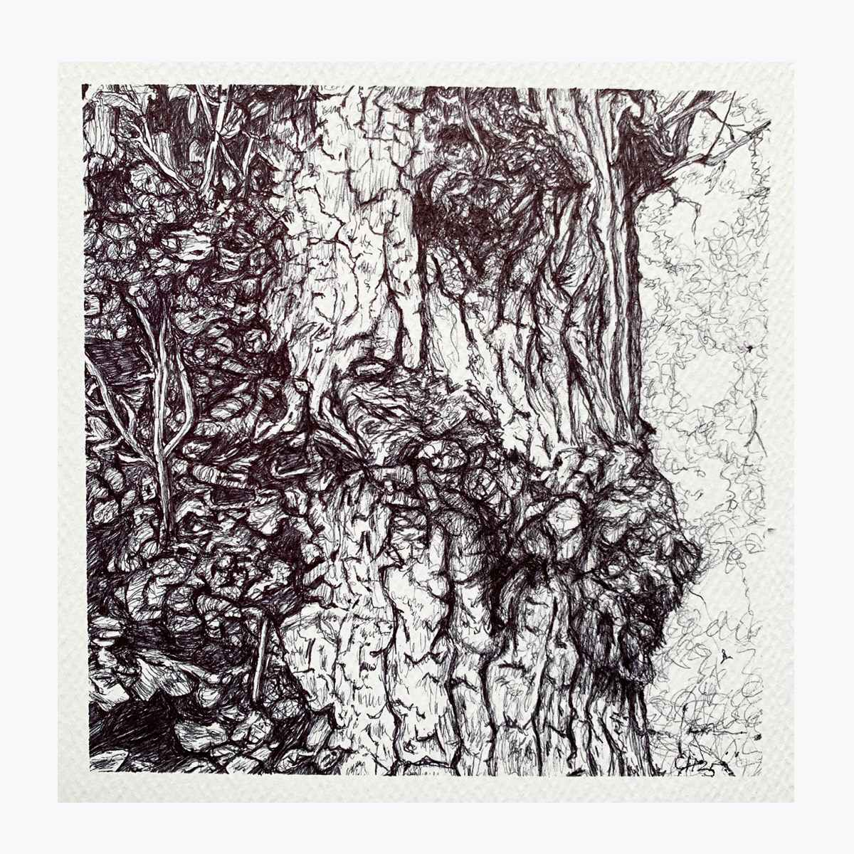 Going against the Flow 1 by Gail Hoban, Image 1.