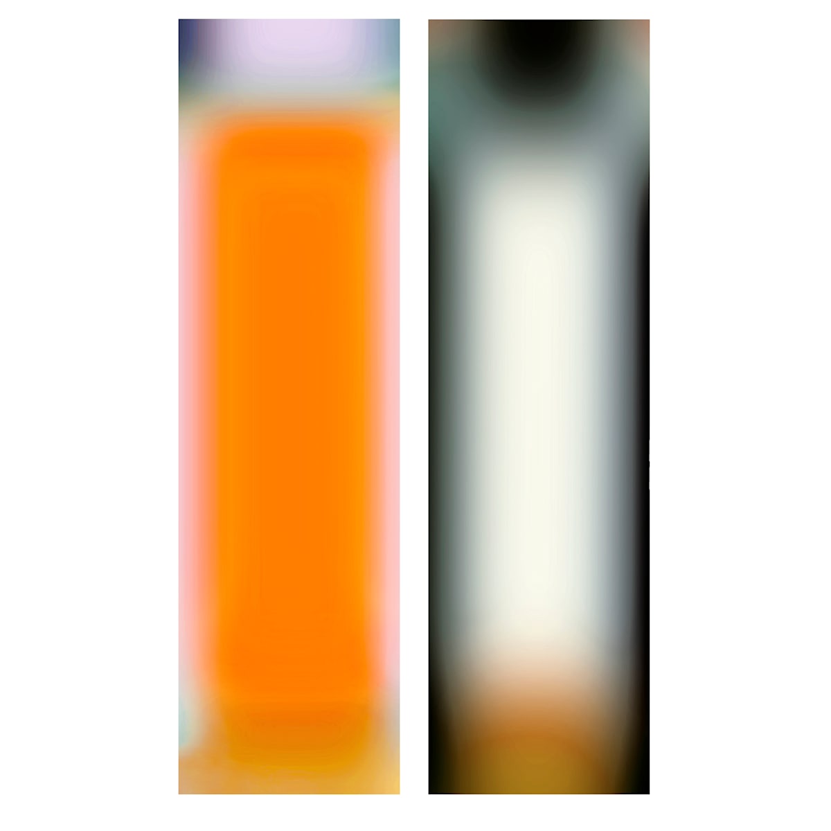 LenEM-10 by Bill Kane, Image 11.
