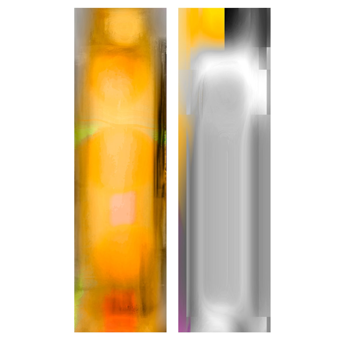 LenEM-12 by Bill Kane, Image 13.