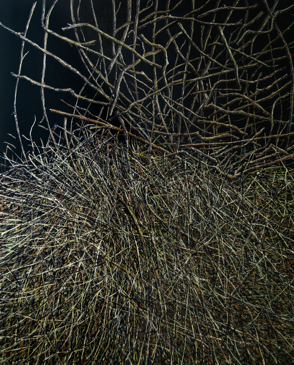 Decimation and Stacking  by James de Villiers 