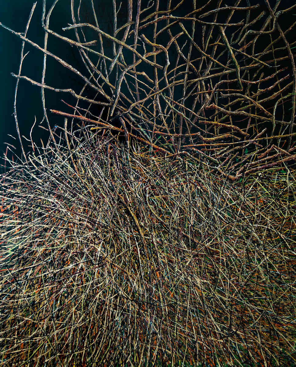 Decimation and Stacking  by James de Villiers, Image 1.