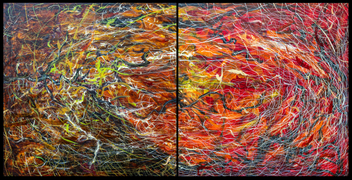 Creation 2 by James de Villiers 