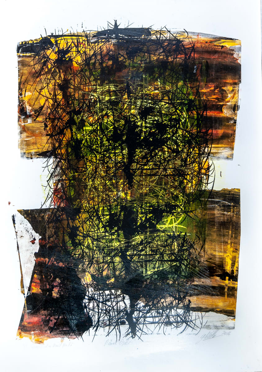 Disrupted Landscapes by James de Villiers, Image 1.