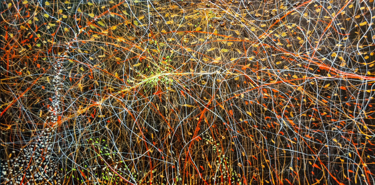 Particles and Waves by James de Villiers 