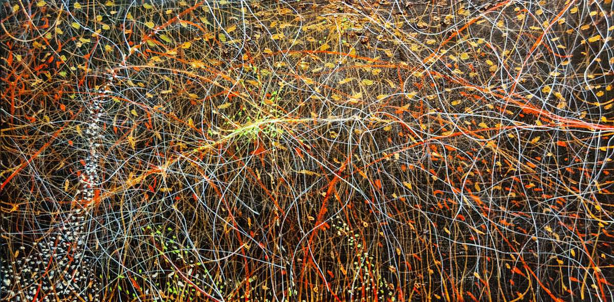 Particles and Waves by James de Villiers, Image 1.