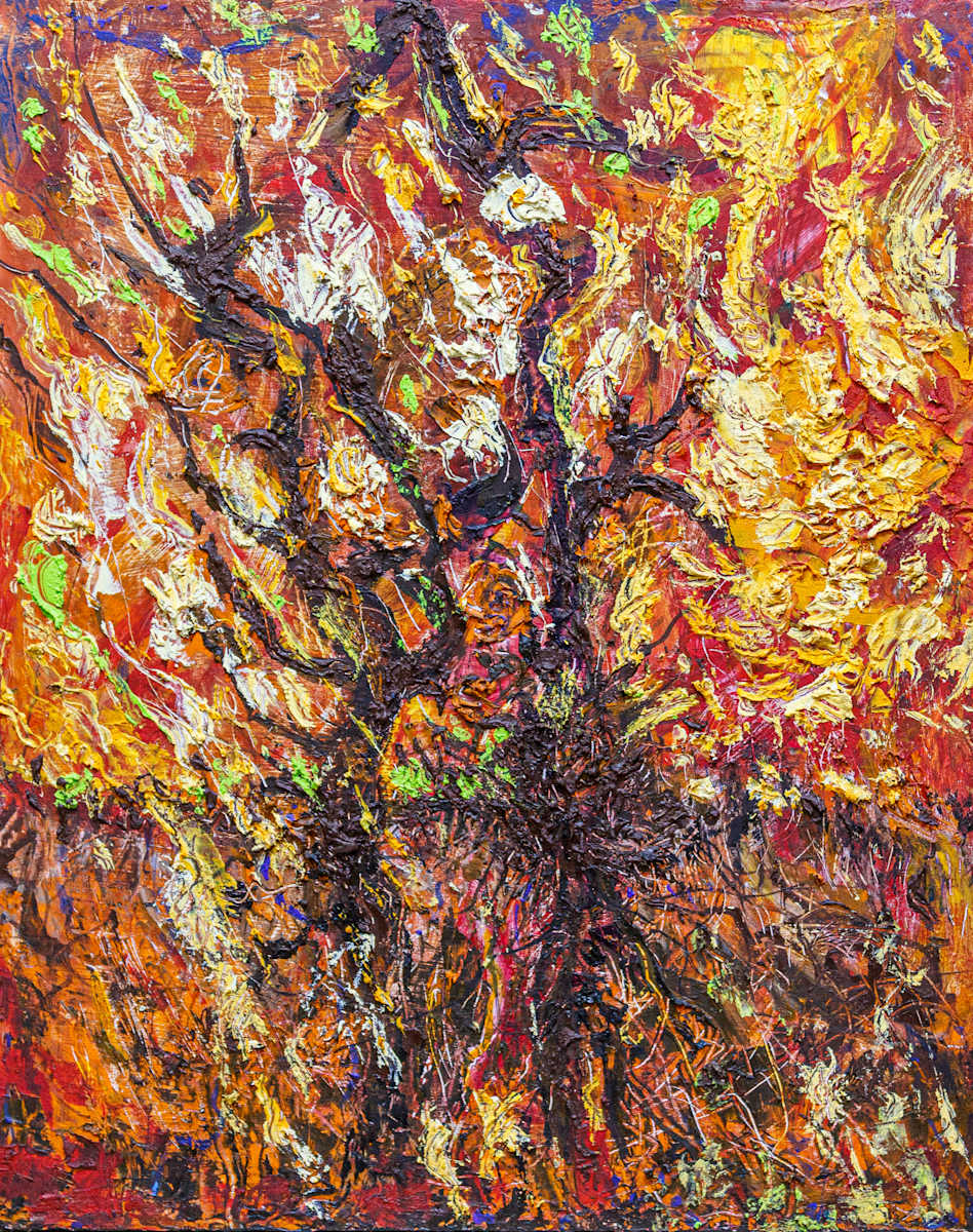 Fire by James de Villiers 