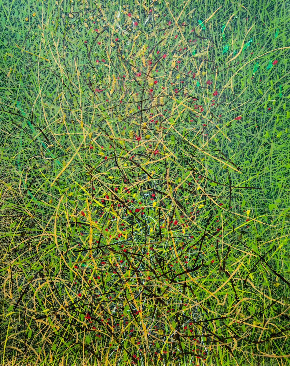 Spring by James de Villiers 