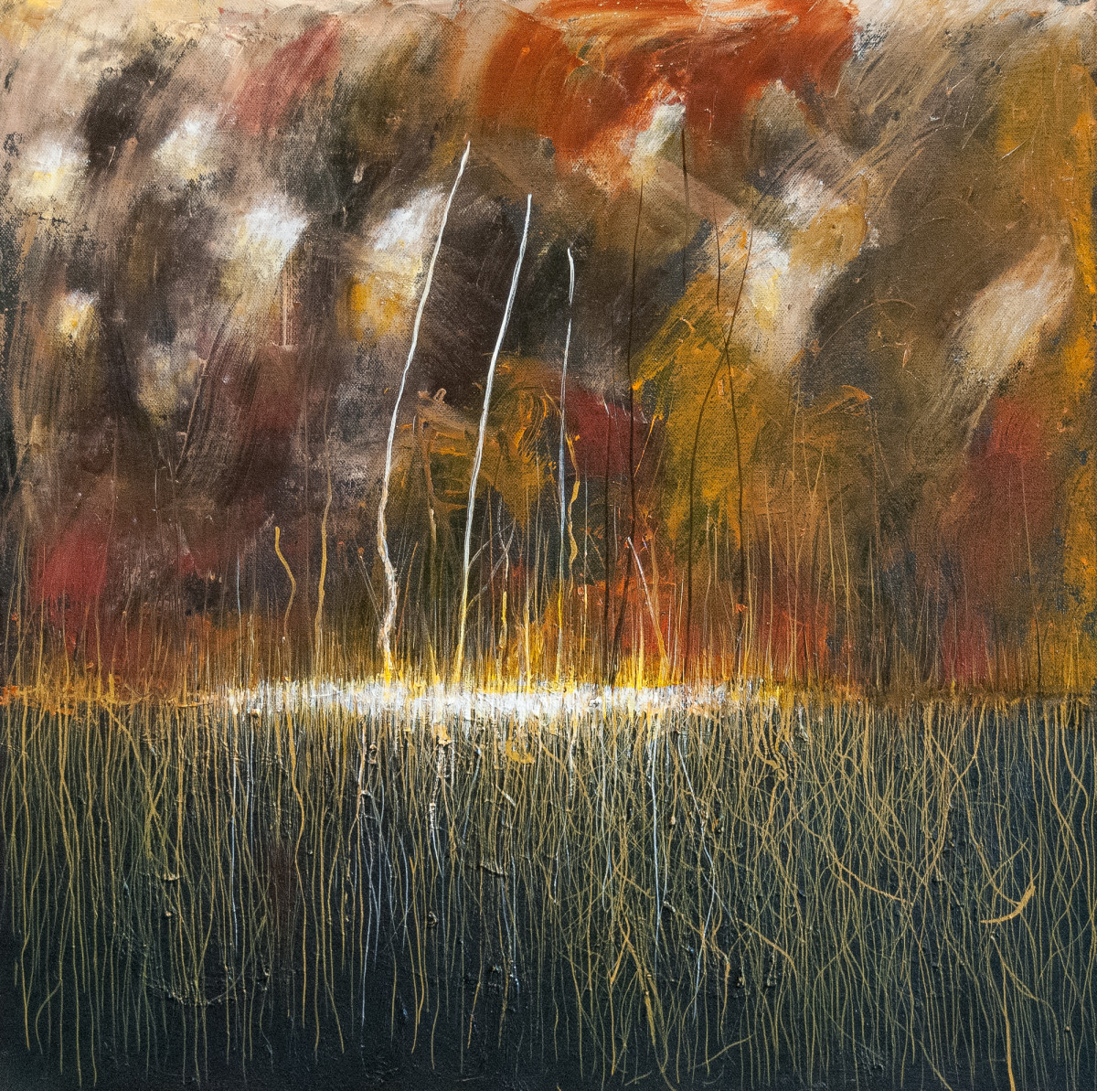 Memories of Fire by James de Villiers 