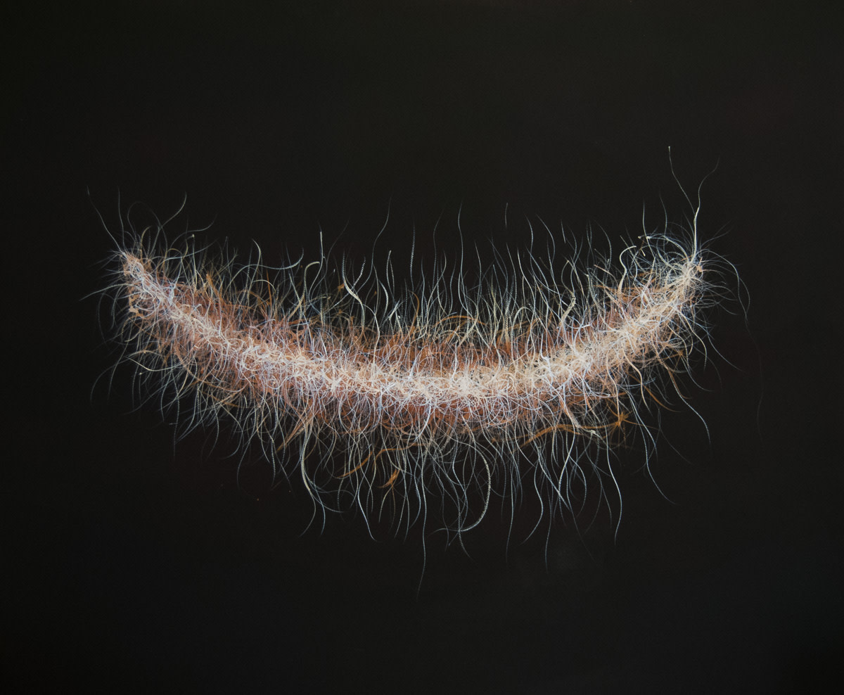 The Unknown by James de Villiers 