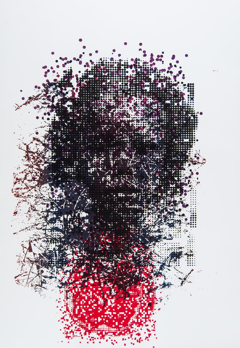 Head in a State of Disarray by James de Villiers, Image 1.
