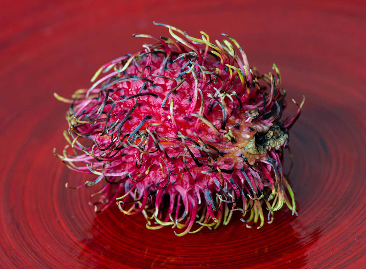 Rambutan on Red by Cheryl Aden, Image 1.