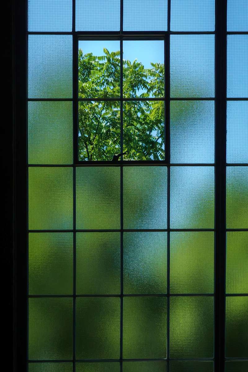 Trans-Lucid by Cheryl Aden, Image 1.