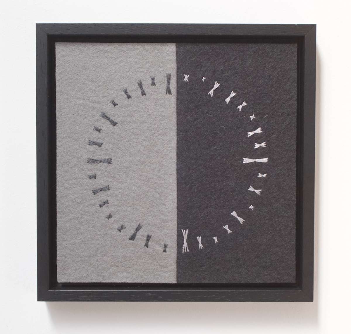 Chromosomes by Erin Coppin 