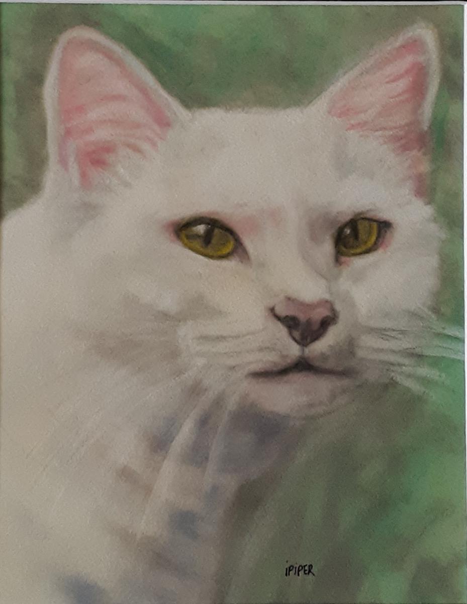 Angel by irene Piper 