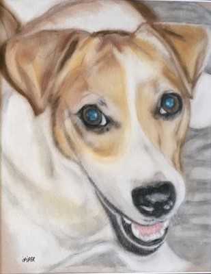 Homer by irene Piper 