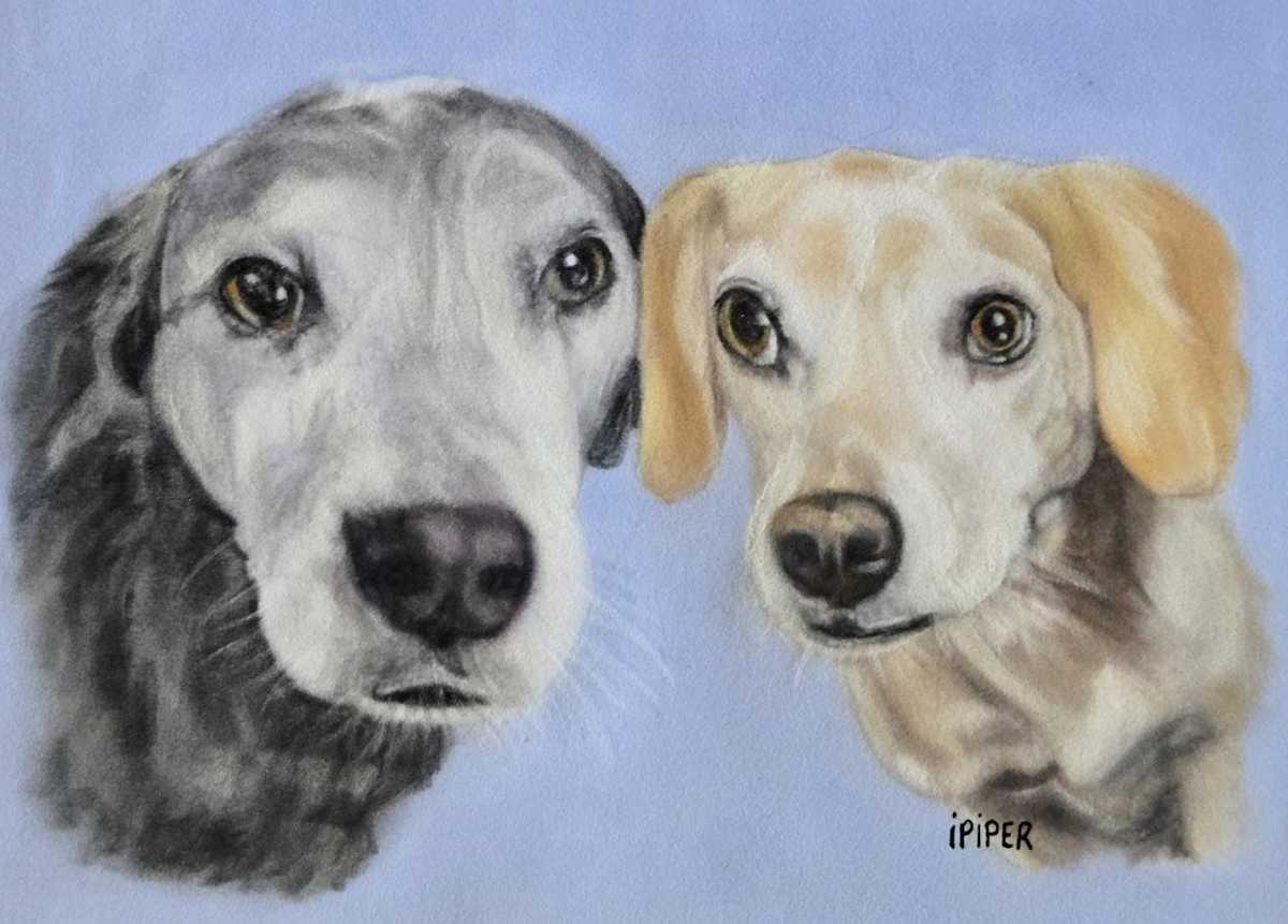 Tommy and Milo by irene Piper 