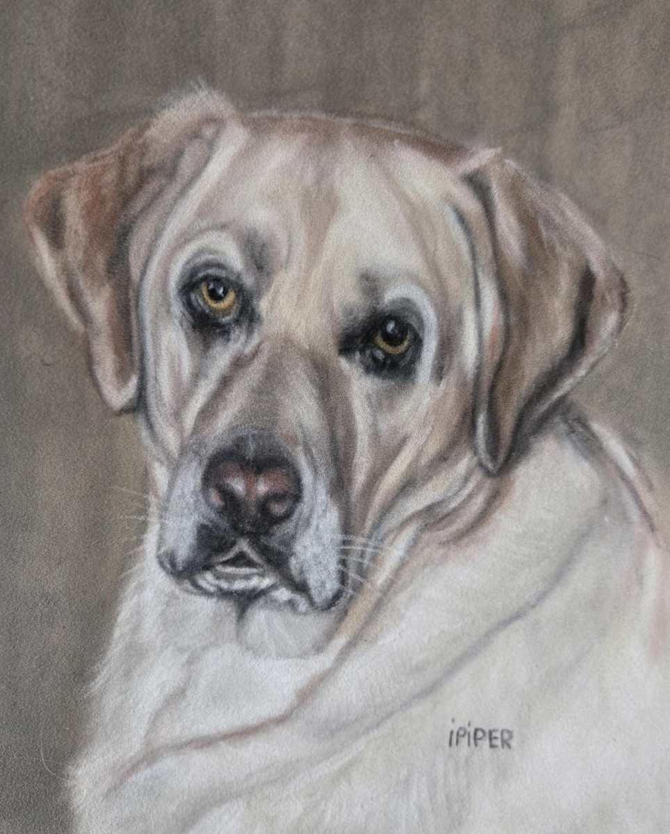 Birdie by irene Piper 