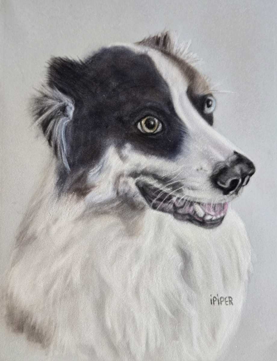 Dexter by irene Piper, Image 1.