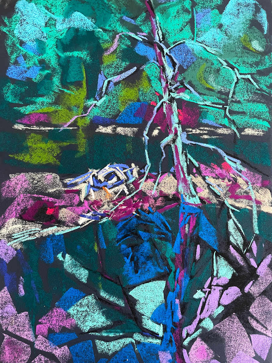 Beaver lodge by Lynne Bedbrook, Image 1.