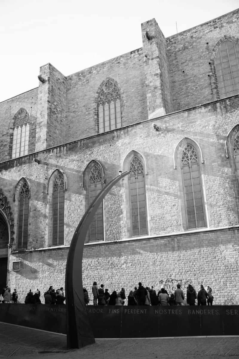 Concert by Elysian Koglmeier 