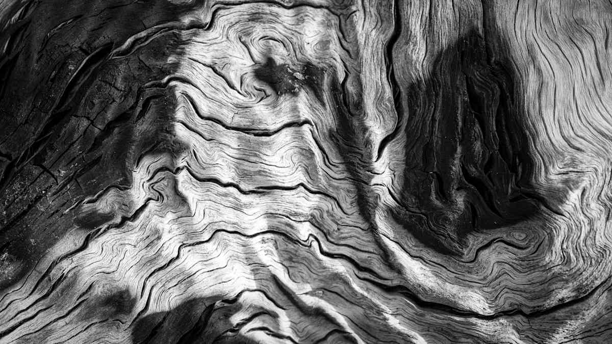 Eternal Lines 1 by Hugh Walker, Image 1.