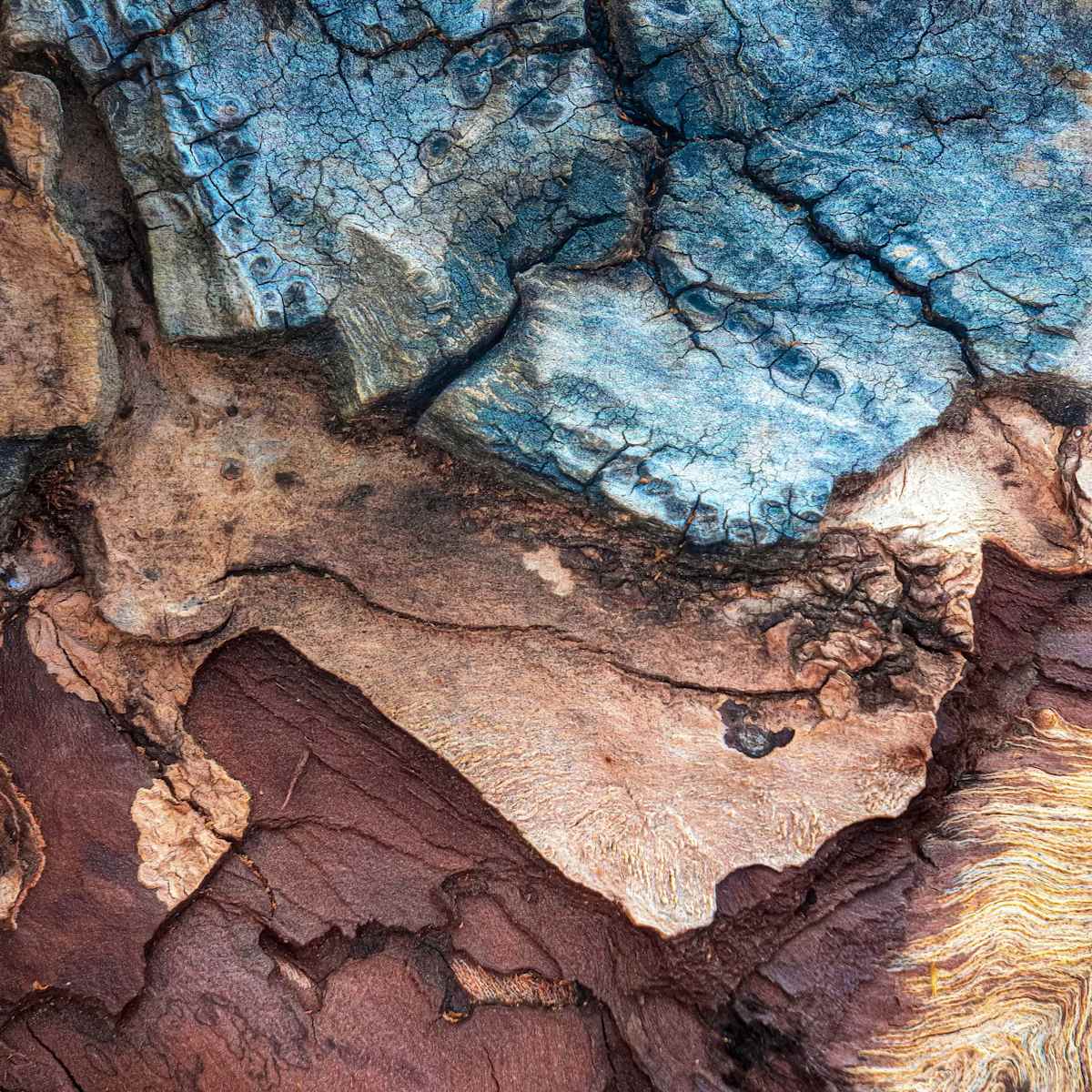 Complexity by Hugh Walker, Image 1.