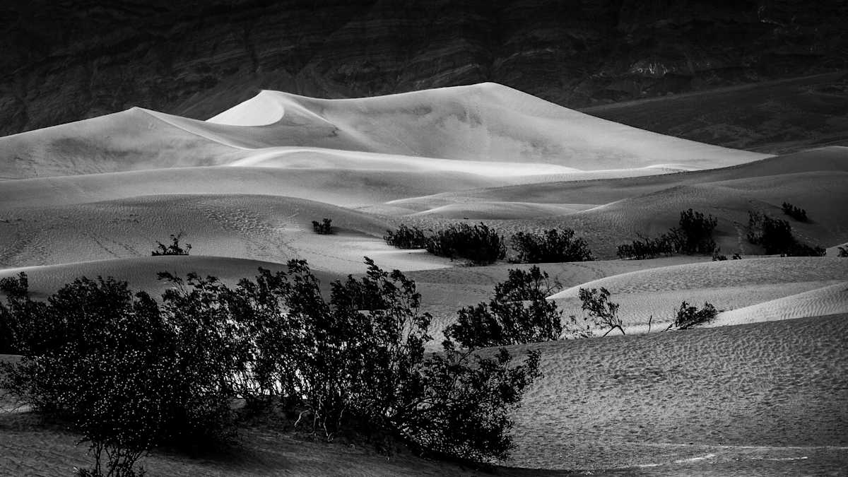 Dune by Hugh Walker, Image 1.
