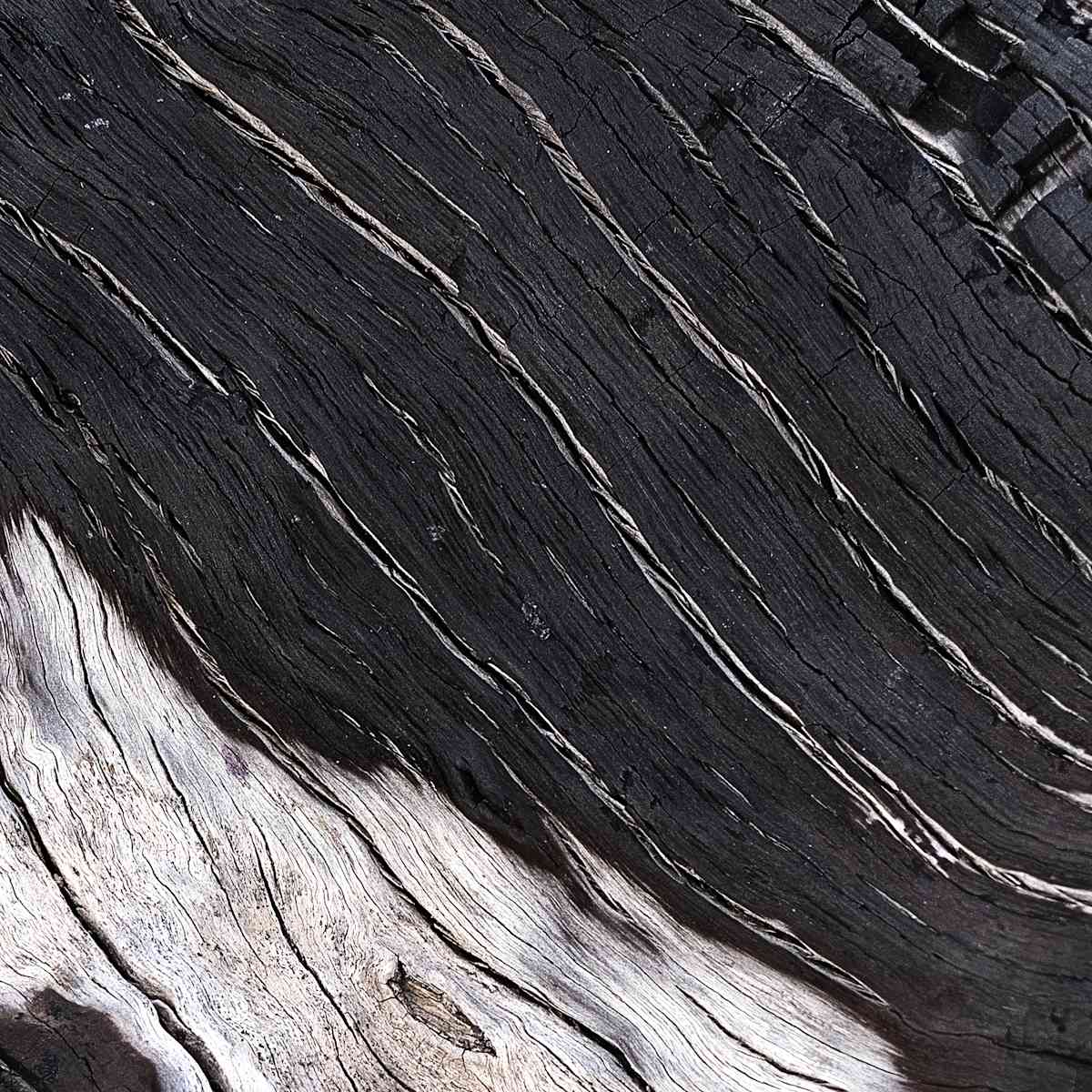 Eternal Lines 5 by Hugh Walker, Image 1.