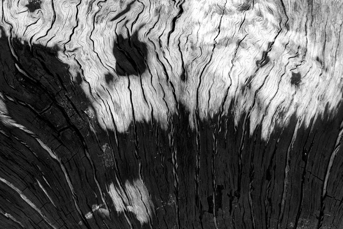 Eternal Lines # 2 by Hugh Walker, Image 1.
