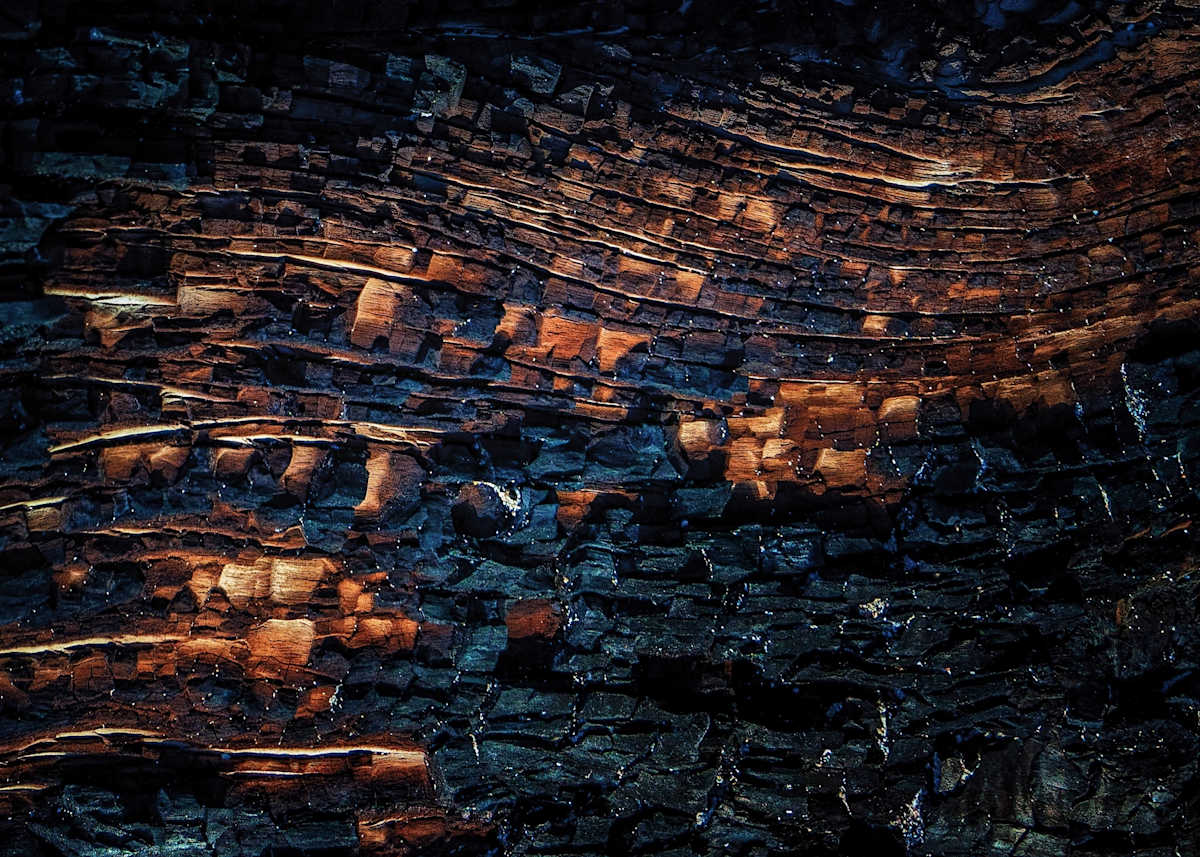 Burnt Embrace by Hugh Walker, Image 1.