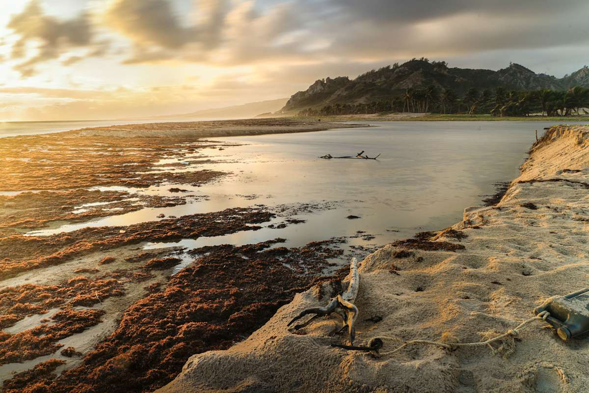 Get OUt 5AM by Hugh Walker, Image 1.