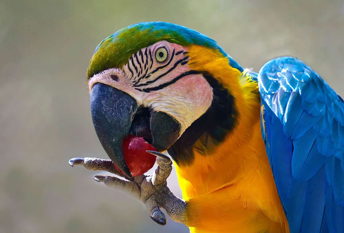 Lunch Time by Hugh Walker, Image 1.