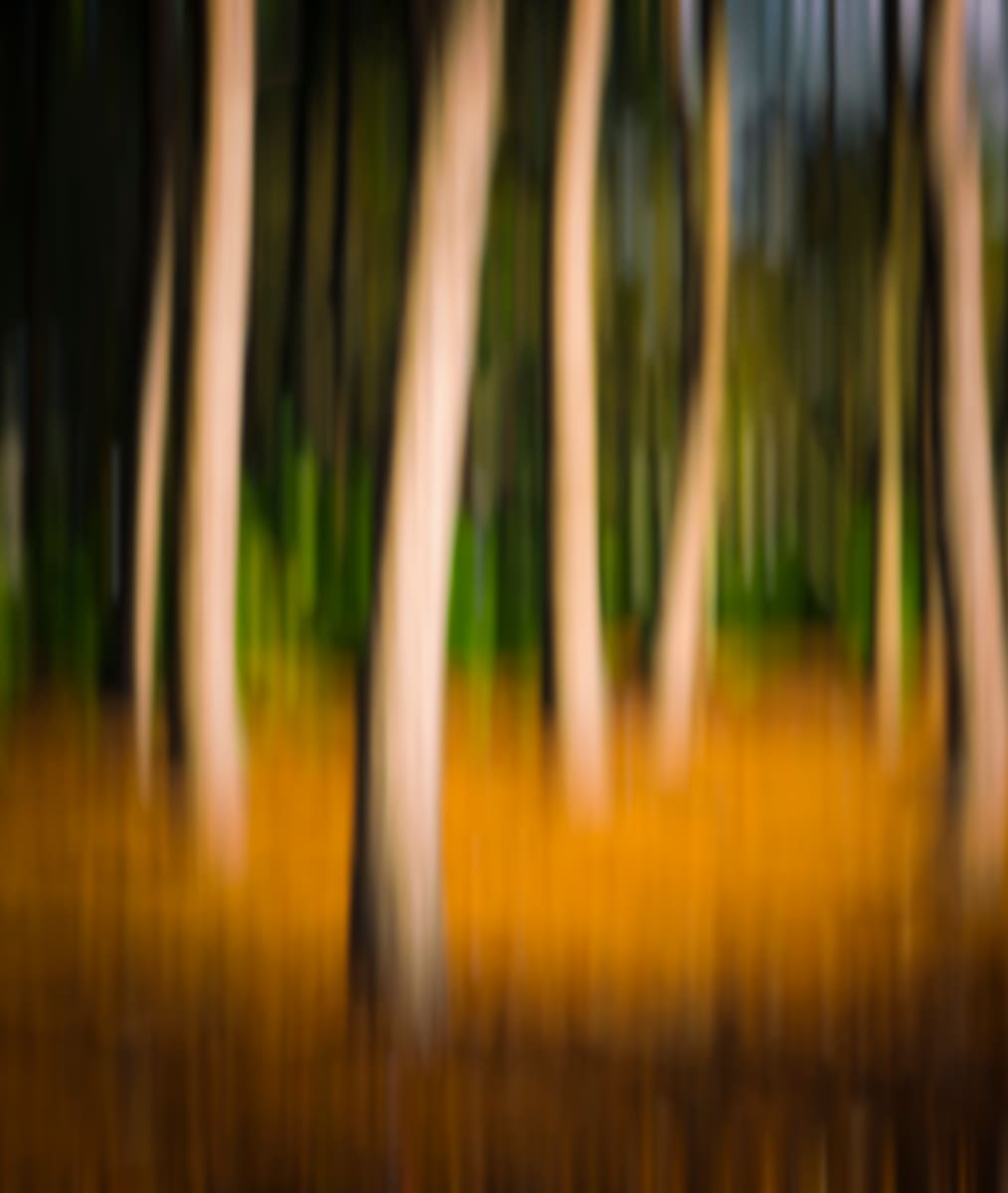 Imagination by Hugh Walker, Image 1.