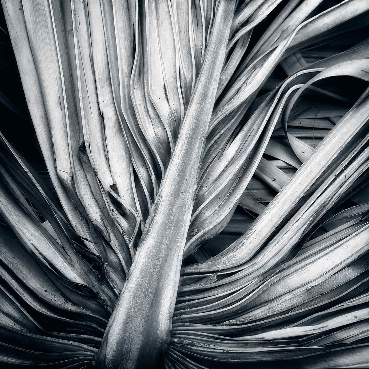 Radial Lines #1 by Hugh Walker, Image 1.