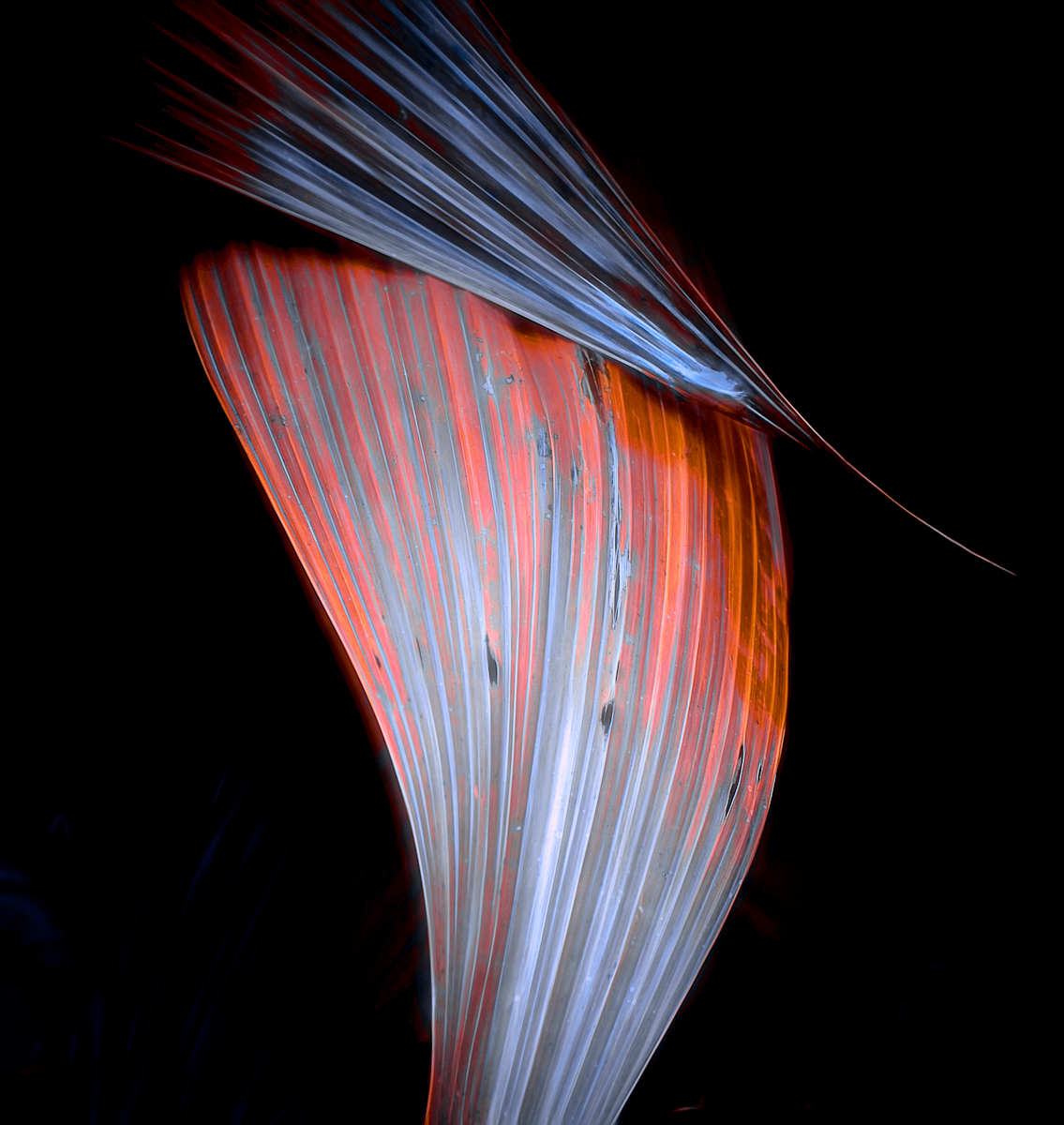 Diagonal by Hugh Walker, Image 1.