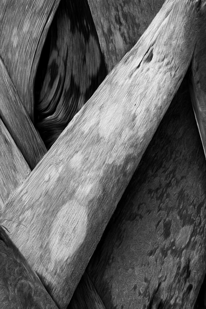 Xbow by Hugh Walker, Image 1.
