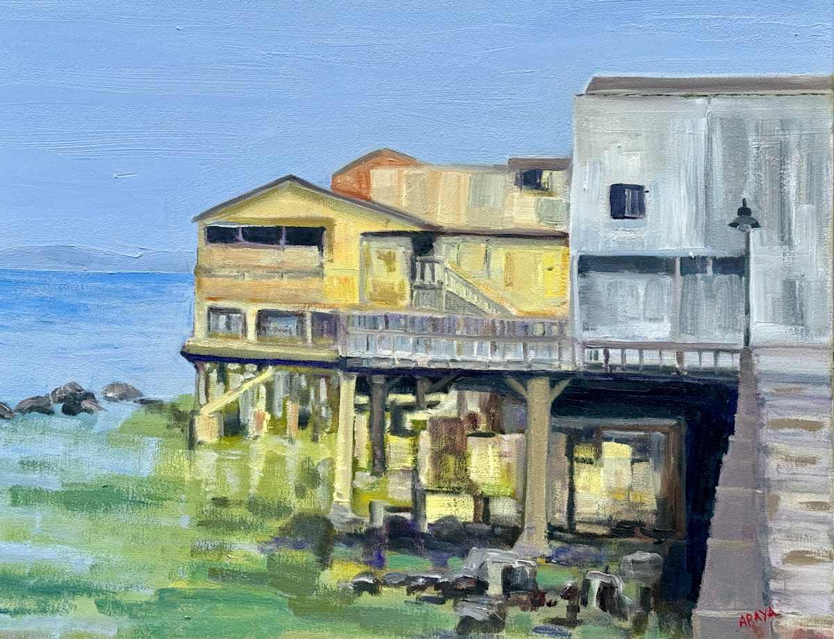 @Monterey : Behind Cannery Row II by ARAYA BERGSTEIN, Image 1.