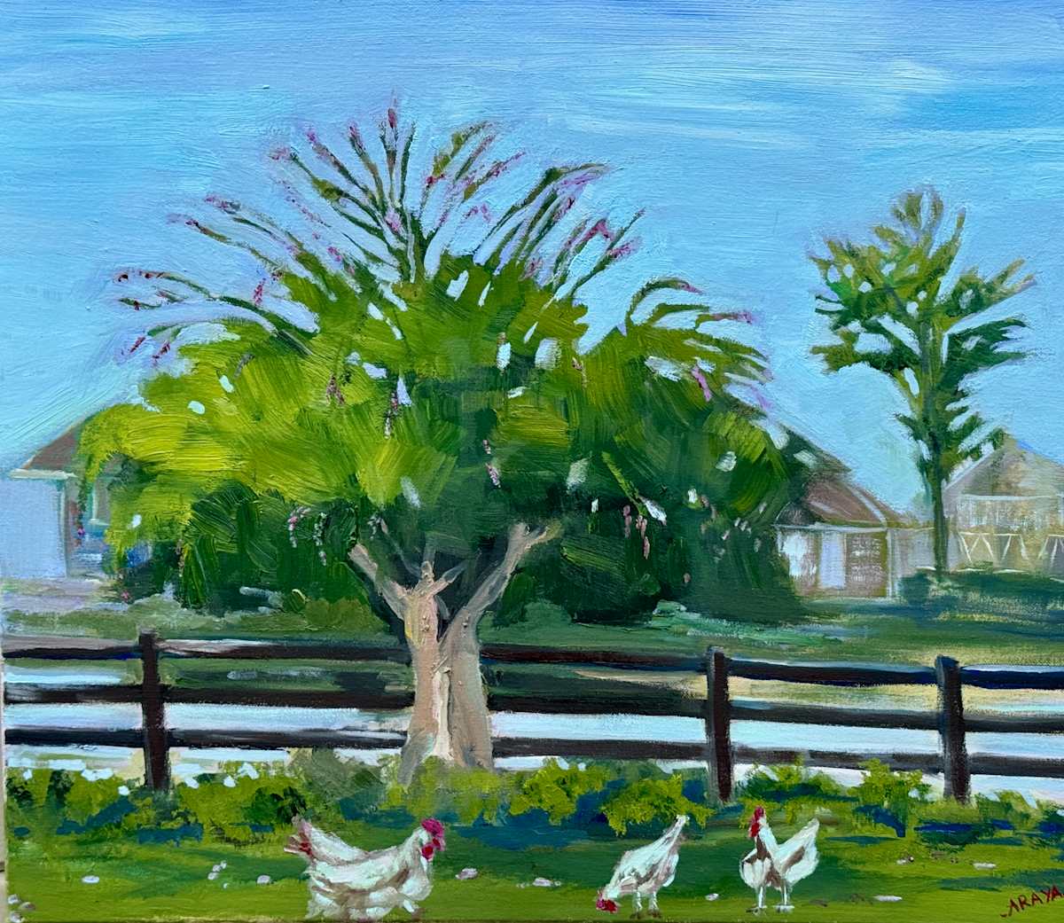Farm in Watsonville by ARAYA BERGSTEIN, Image 1.