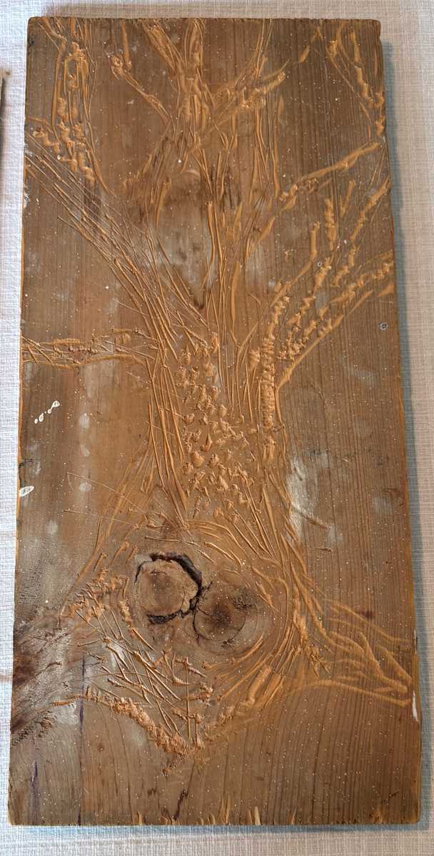 In Progress: a tree in the woods by Lisa Blonder, Image 1.