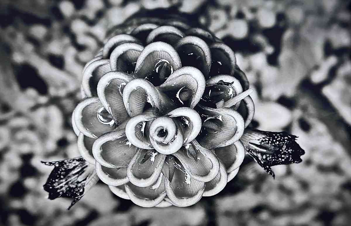 Torch by Carla Hinds, Image 1.