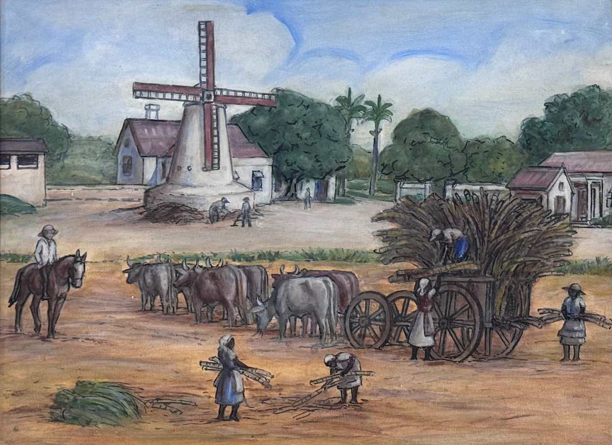 Egerton Plantation by Kathleen C. Hawkins, Image 1.