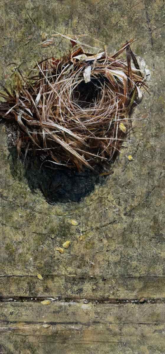 Nest On Concrete - Soft - Hard by Arthur Atkinson, Image 1.