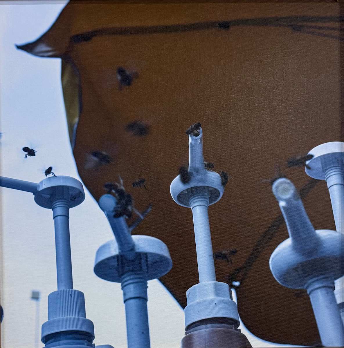 Bee @ The Party by Jaryd Niles-Morris, Image 1.