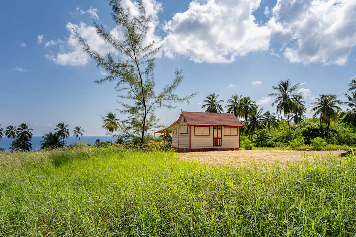 The House in St. John #1 by Hugh Walker, Image 1.