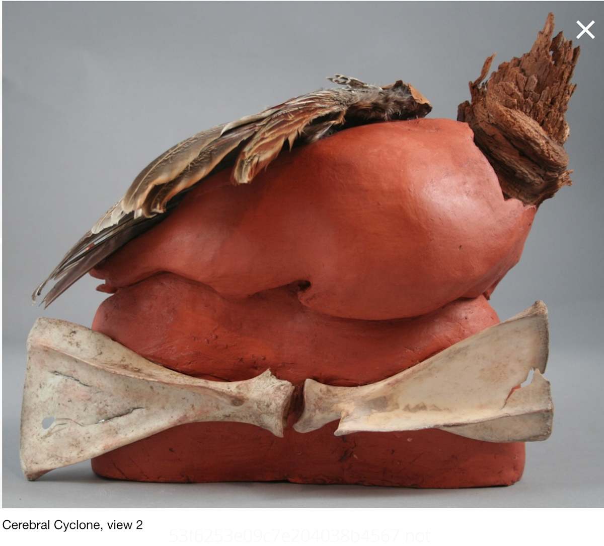 Cerebral Cyclone by Jo Grishman, Image 1.