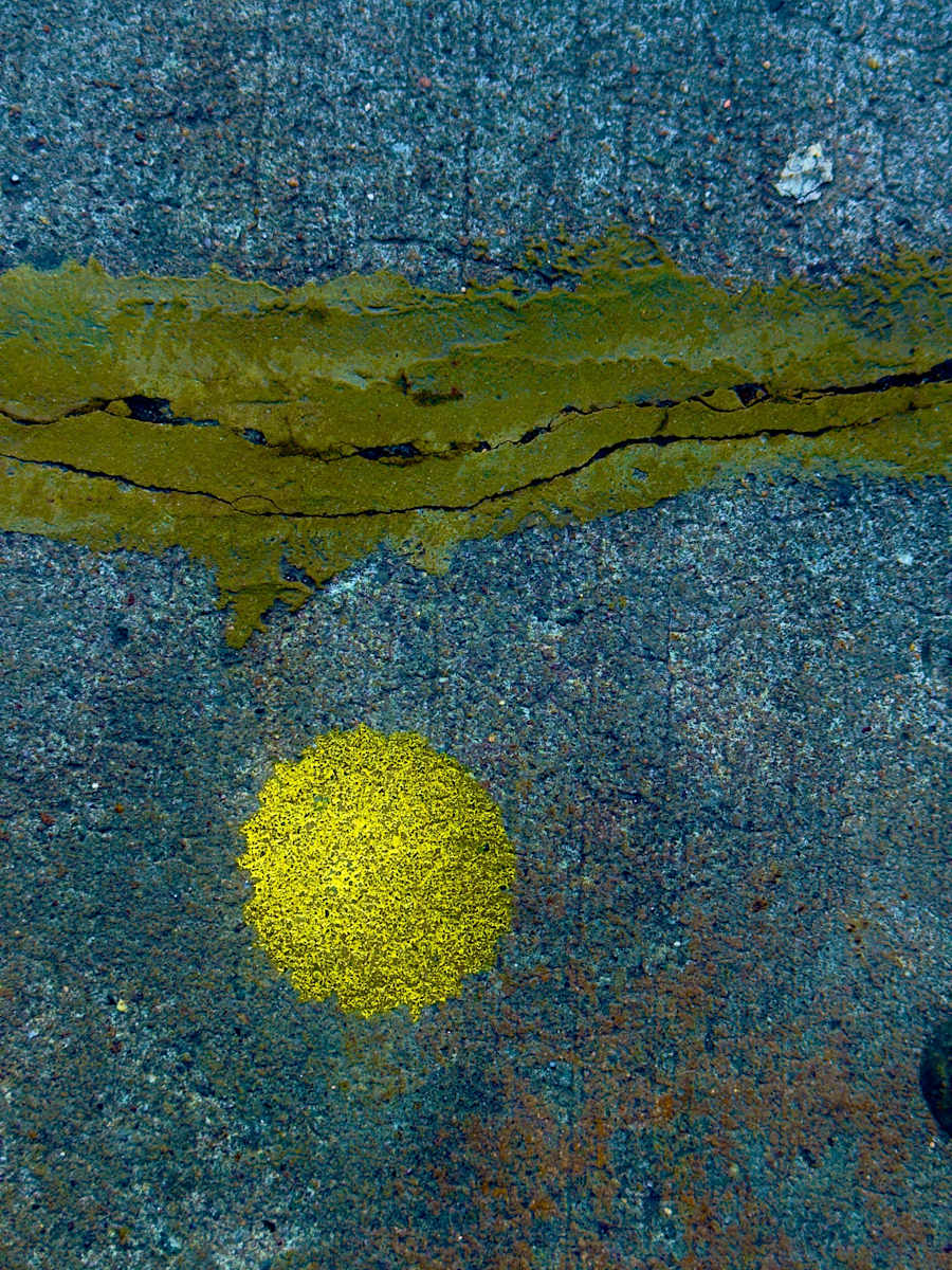 Line And Yellow Circle by John Derryberry Photography, Image 1.