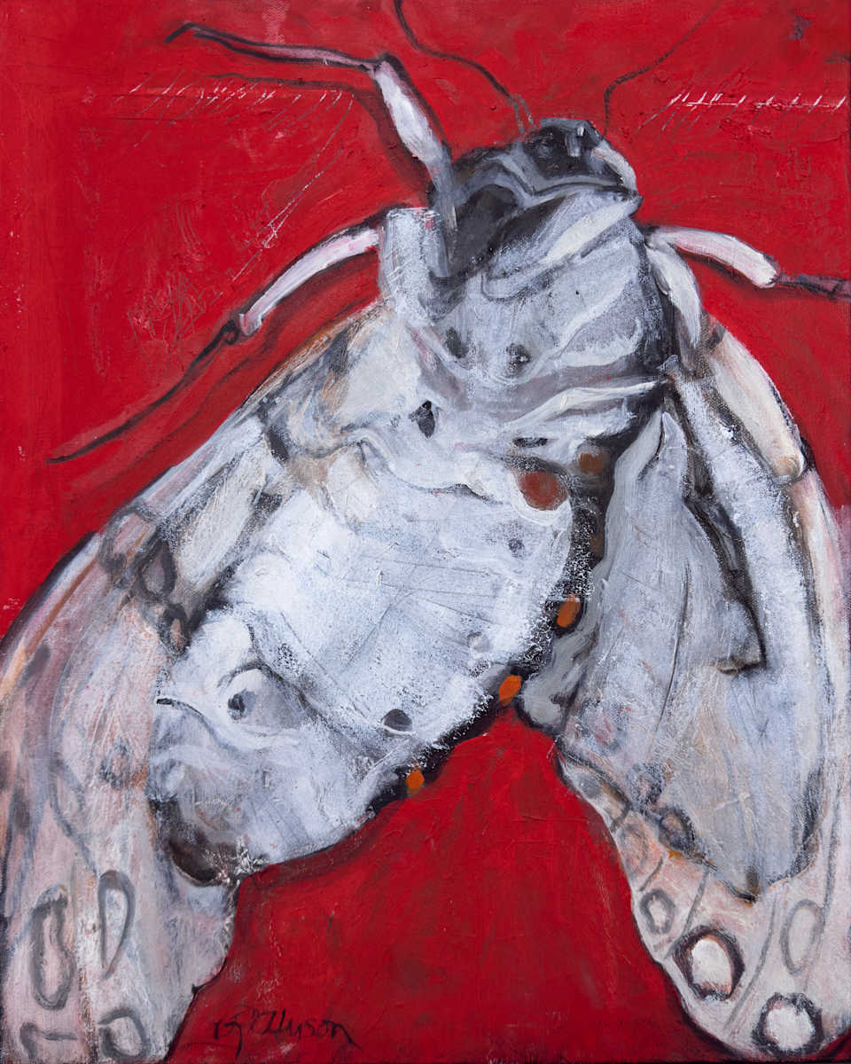 Red Moth I by renée  alyson, Image 1.