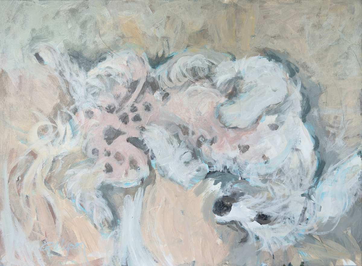 Opie Dreaming by renée  alyson, Image 1.
